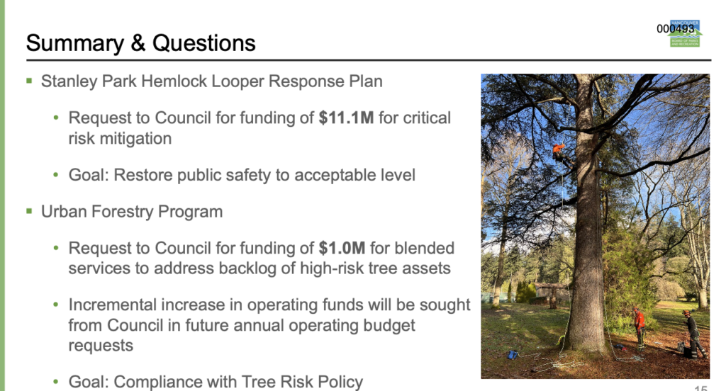 Exclusive: Stanley Park logging budget grows to $18 million after ...